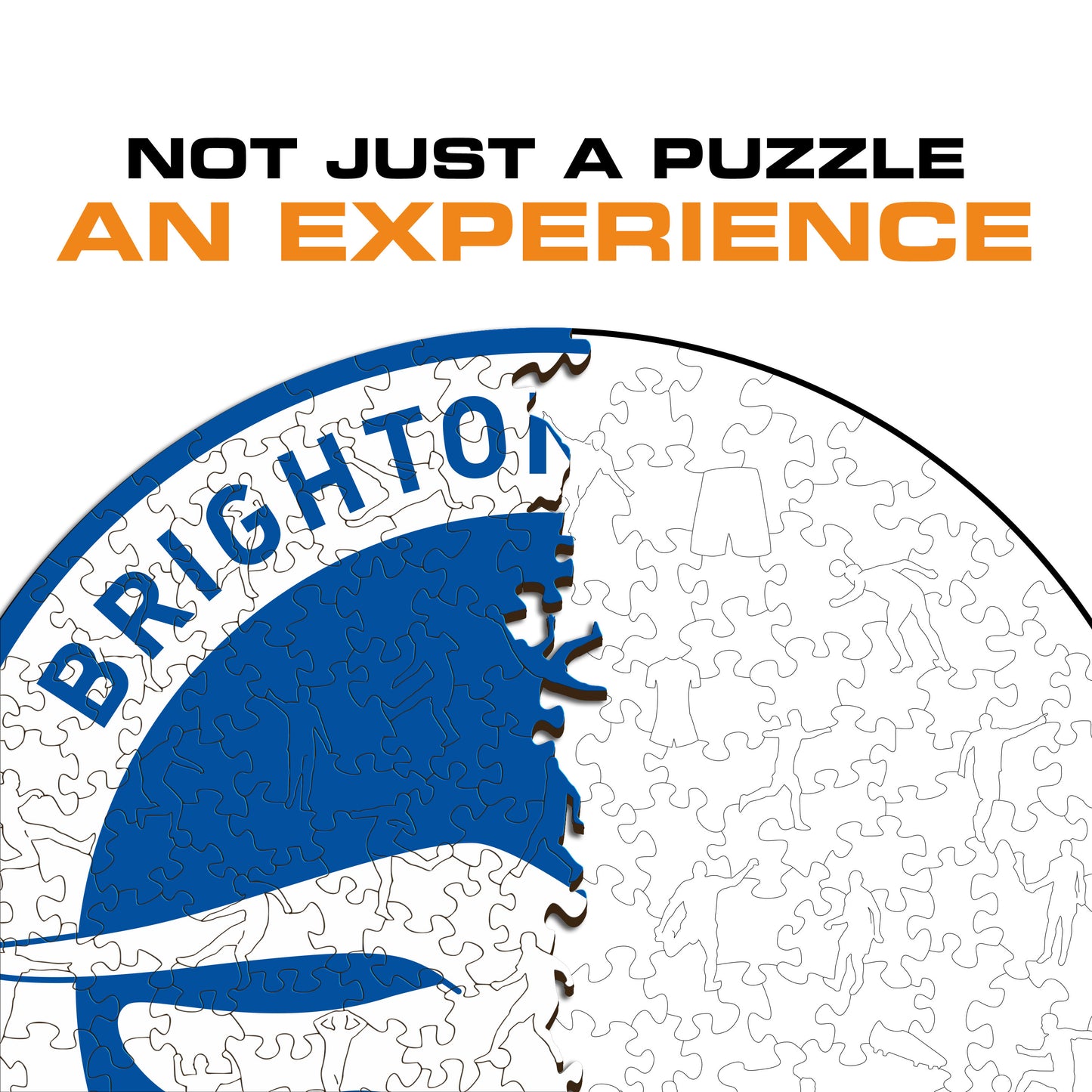 Brighton & Hove Albion FC® Logo - Wooden Puzzle