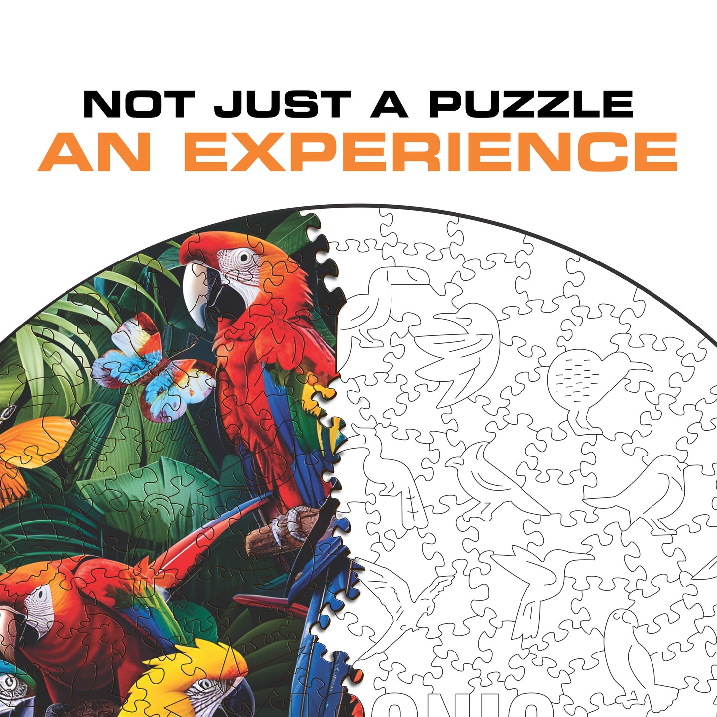 Colorful Parrots - Wooden Puzzle