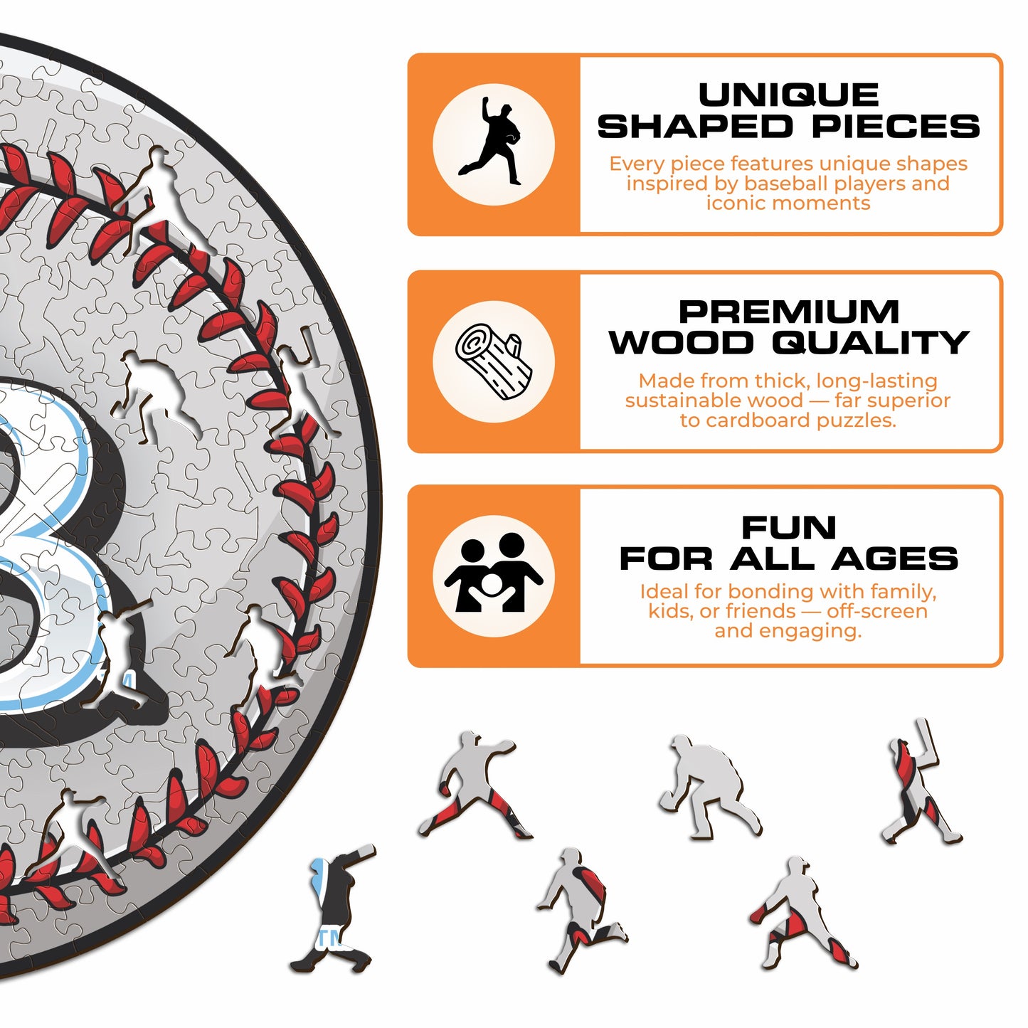 Tampa Bay Rays™ - Wooden Puzzle