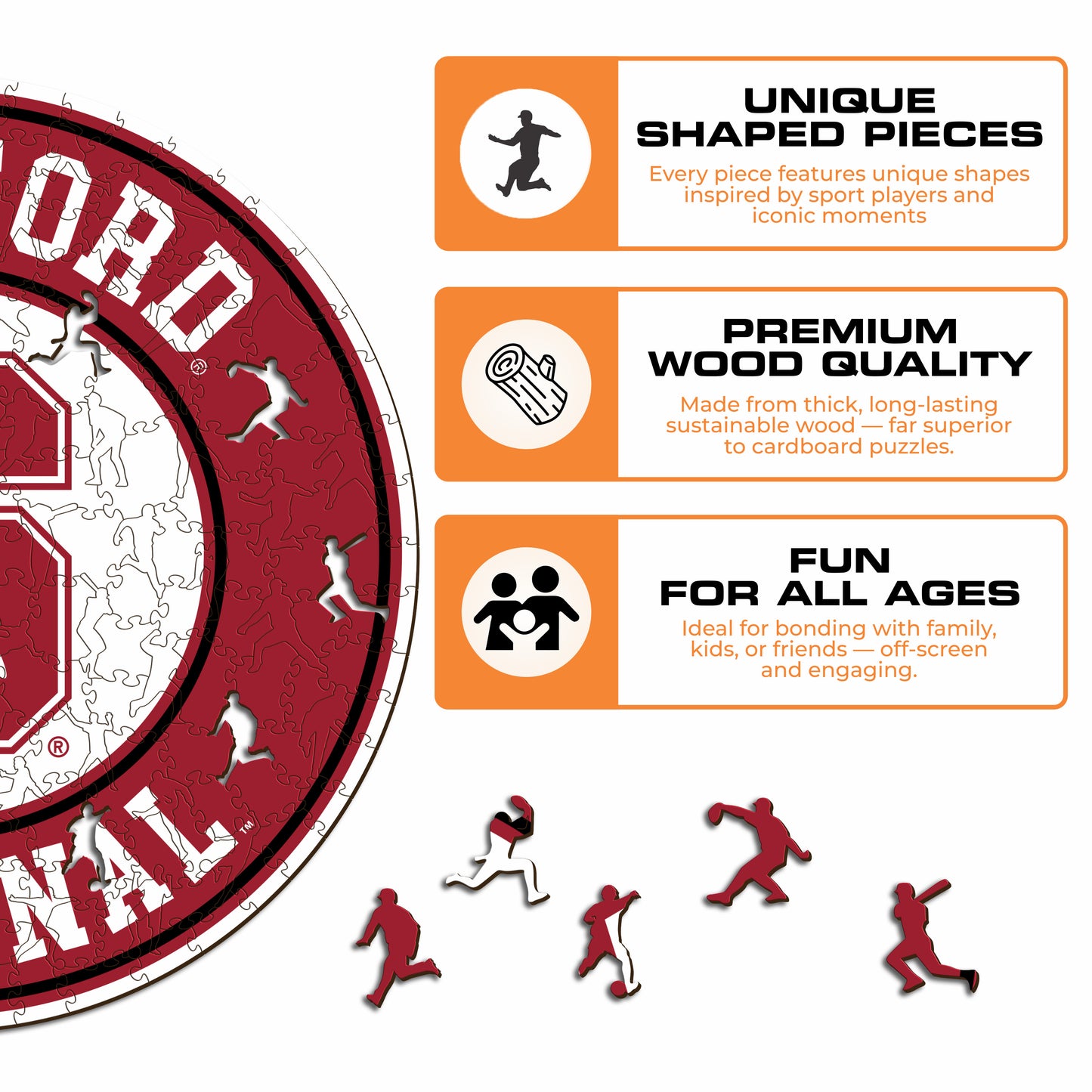 Stanford University - Wooden Puzzle