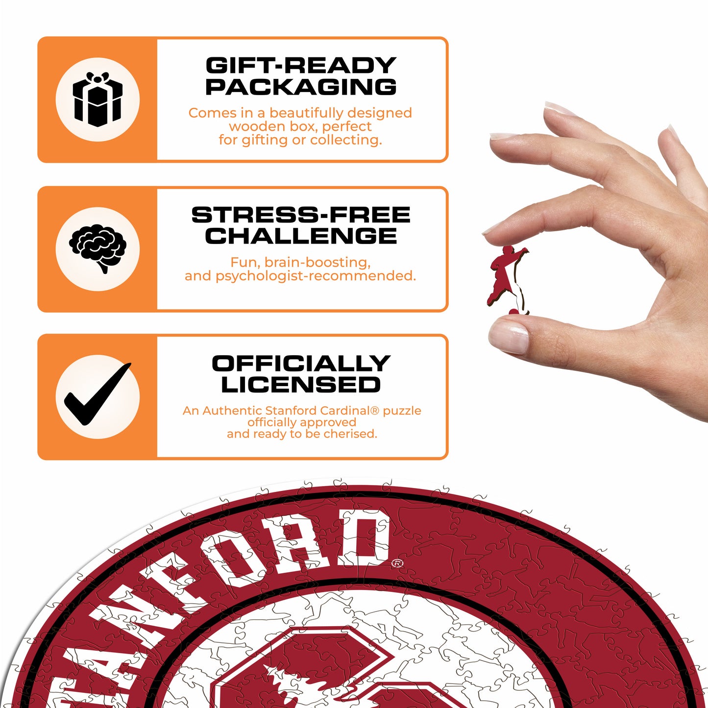 Stanford University - Wooden Puzzle