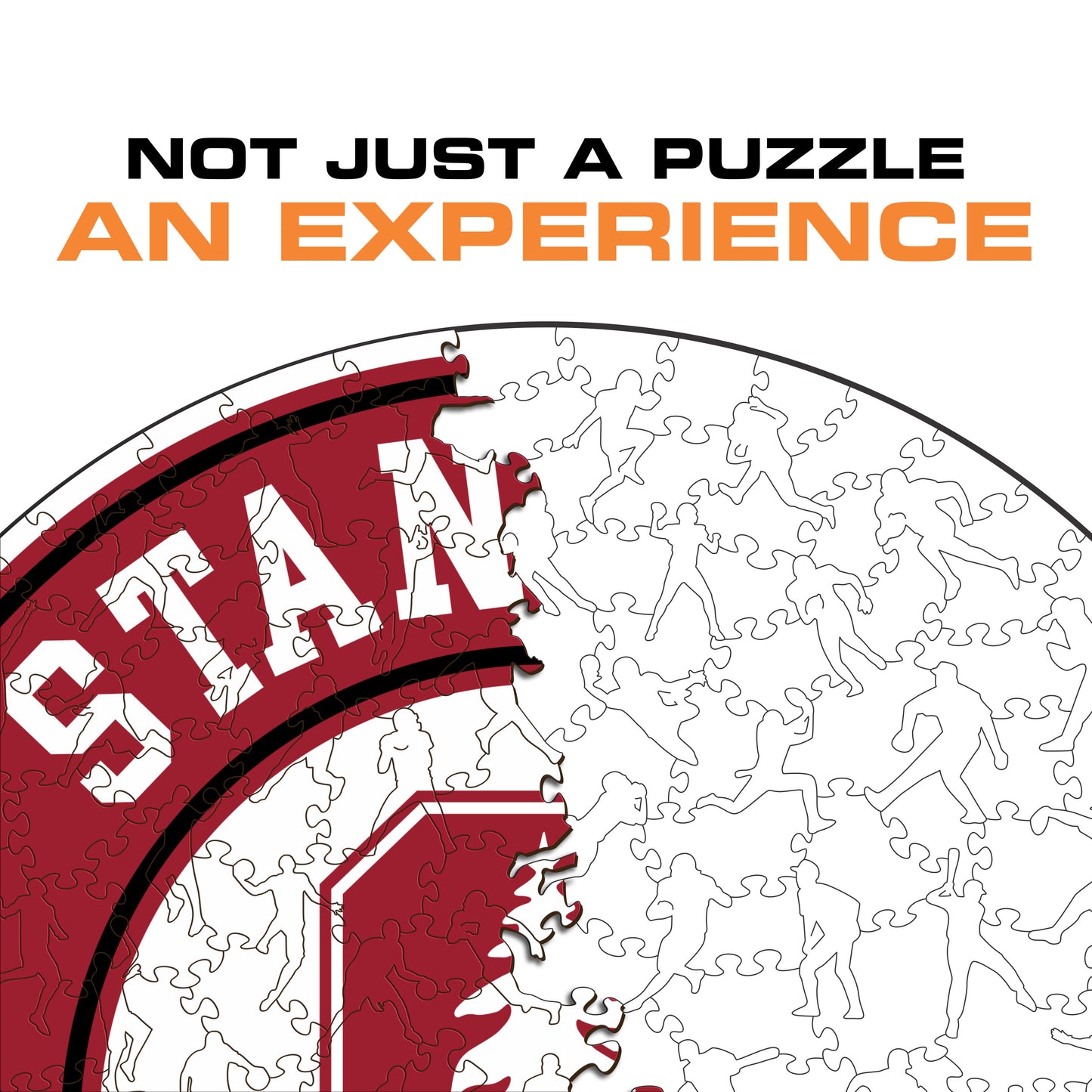 Stanford University - Wooden Puzzle