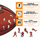 Indianapolis Colts™ Football - Wooden Puzzle