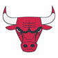 Chicago Bulls™ - Wooden Puzzle