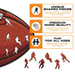2 PACK Atlanta Falcons™ Football + Helmet