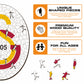 Galatasaray S.K.® Logo - Wooden Puzzle