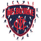 3 AFL Puzzles of Your Choice