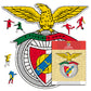 SL Benfica® Logo - Wooden Puzzle