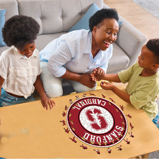 Stanford University - Wooden Puzzle