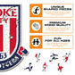 Stoke City FC® Logo - Wooden Puzzle