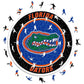 University of Florida - Wooden Puzzle