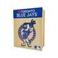 2 PACK Toronto Blue Jays™ Baseball + Mascot